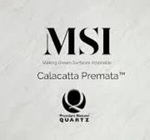 MSI Surfaces